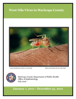 45748-Thumbnail Image.png