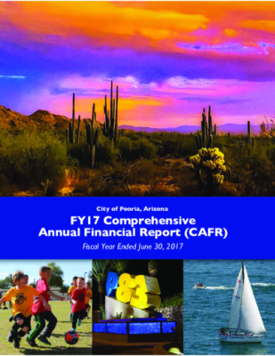 44092-Thumbnail Image.png