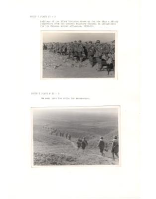 84581-Thumbnail Image.jpg