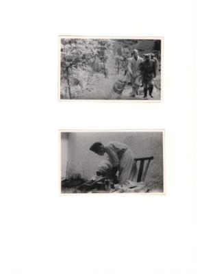 84583-Thumbnail Image.jpg