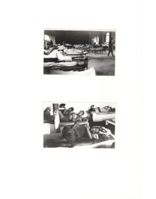 84587-Thumbnail Image.jpg