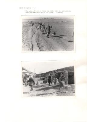 84602-Thumbnail Image.jpg