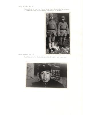 84607-Thumbnail Image.jpg