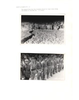 84612-Thumbnail Image.jpg