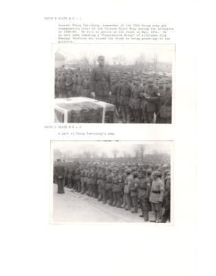 84615-Thumbnail Image.jpg