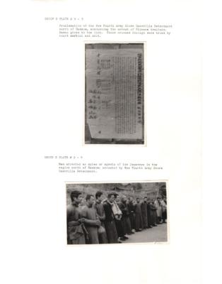 84616-Thumbnail Image.jpg