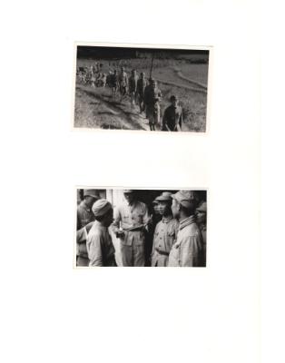 84631-Thumbnail Image.jpg