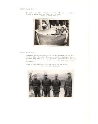 84635-Thumbnail Image.jpg