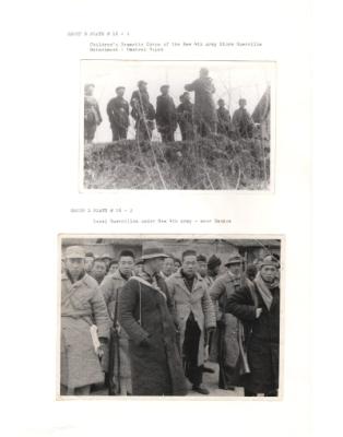 84644-Thumbnail Image.jpg
