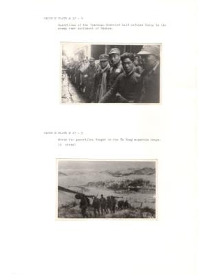 84649-Thumbnail Image.jpg