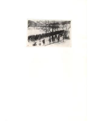 84650-Thumbnail Image.jpg