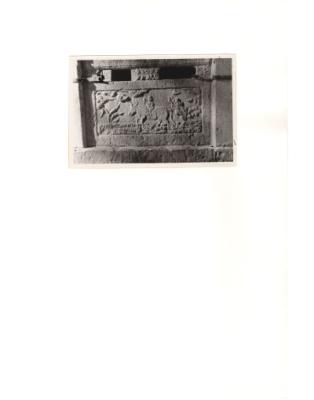 84655-Thumbnail Image.jpg