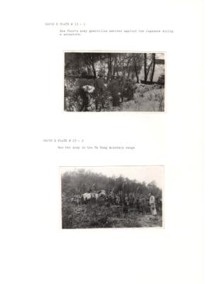 84662-Thumbnail Image.jpg