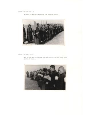 84663-Thumbnail Image.jpg