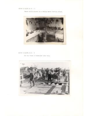 84666-Thumbnail Image.jpg