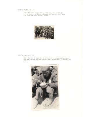 84667-Thumbnail Image.jpg