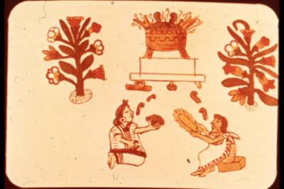 83535-Thumbnail Image.jpg