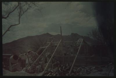 89877-Thumbnail Image.jpg