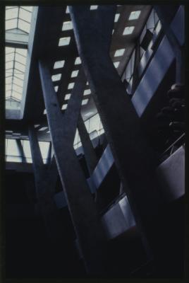 89905-Thumbnail Image.jpg