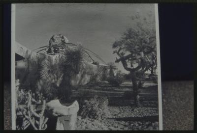 89958-Thumbnail Image.jpg