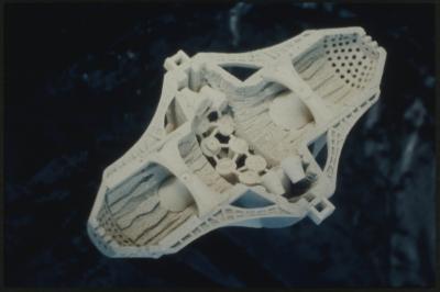 89976-Thumbnail Image.jpg