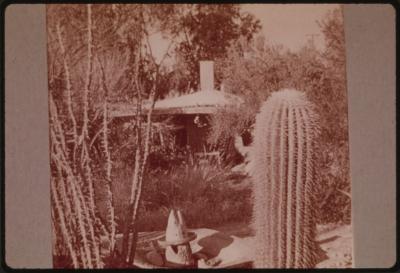 90253-Thumbnail Image.jpg