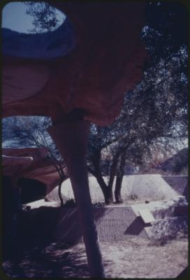 90337-Thumbnail Image.jpg