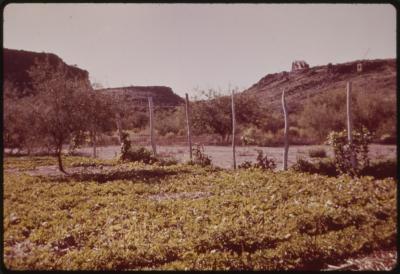 90752-Thumbnail Image.jpg