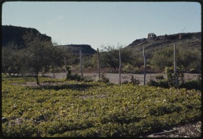 90865-Thumbnail Image.jpg