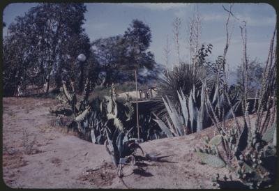 92199-Thumbnail Image.jpg