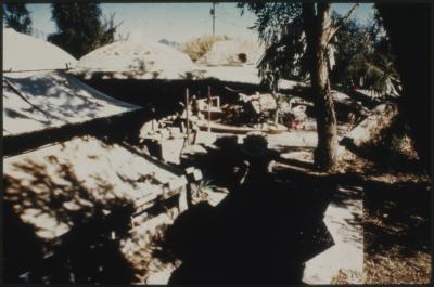 93337-Thumbnail Image.jpg