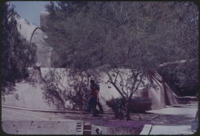 93420-Thumbnail Image.jpg