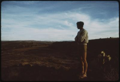 95265-Thumbnail Image.jpg