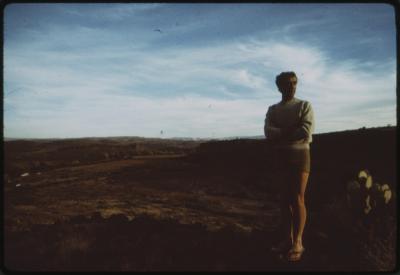 95348-Thumbnail Image.jpg