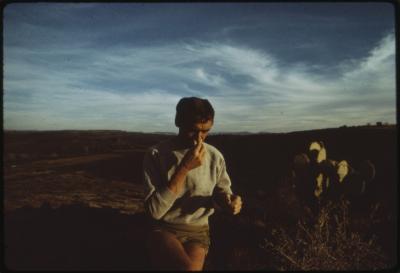 95350-Thumbnail Image.jpg