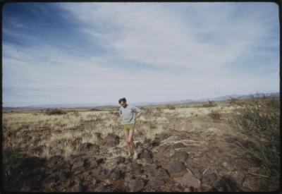 95388-Thumbnail Image.jpg