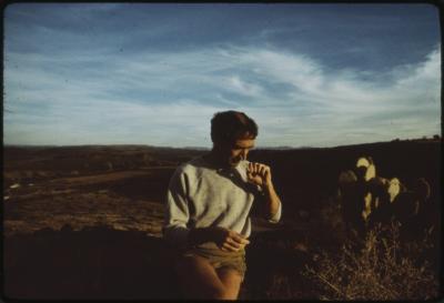 95434-Thumbnail Image.jpg