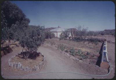95620-Thumbnail Image.jpg