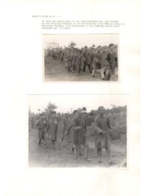 108090-Thumbnail Image.jpg