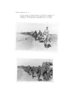 108199-Thumbnail Image.jpg