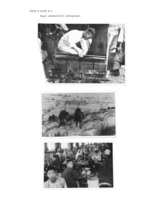 108219-Thumbnail Image.jpg