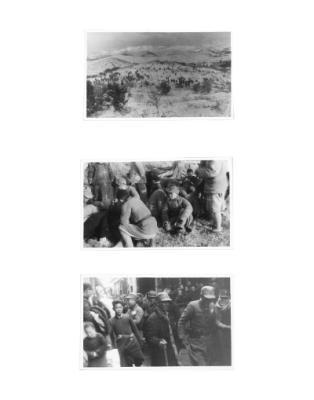 108246-Thumbnail Image.jpg