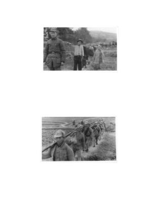 108252-Thumbnail Image.jpg