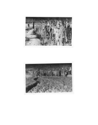 108253-Thumbnail Image.jpg