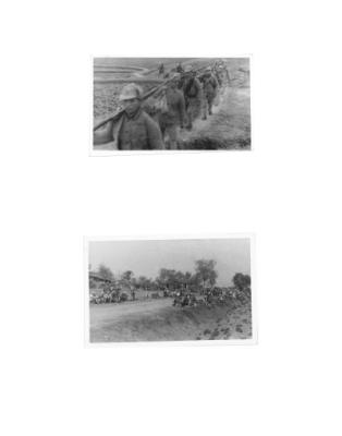108256-Thumbnail Image.jpg