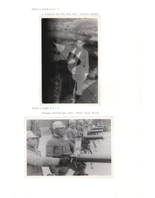 122441-Thumbnail Image.jpg