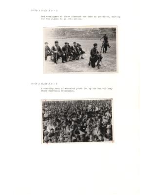 122442-Thumbnail Image.jpg