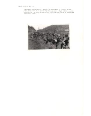 122443-Thumbnail Image.jpg