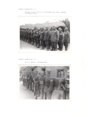 122464-Thumbnail Image.jpg