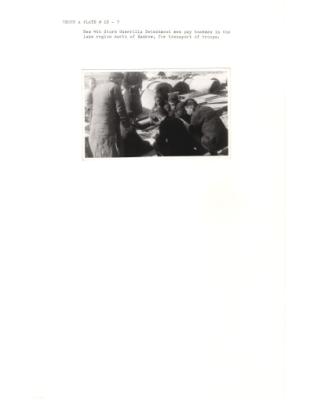 122475-Thumbnail Image.jpg
